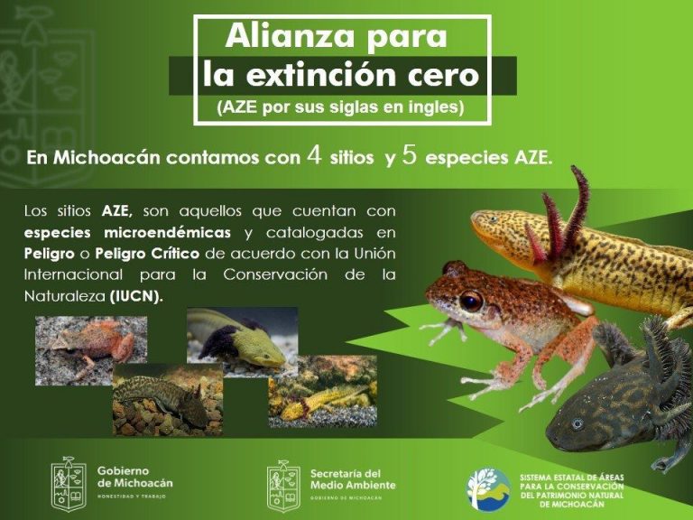 Secma Michoacán Cuenta Con 4 Sitios Y 5 Especies Dentro De La Alianza Para La Extinción Cero 4927